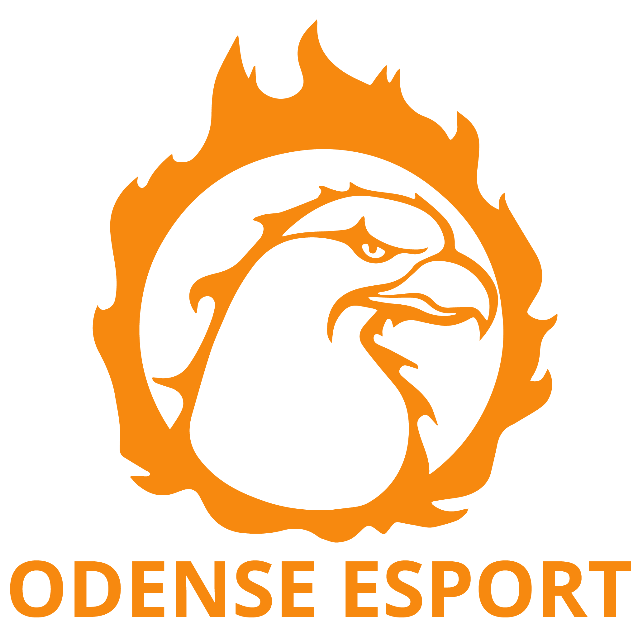 Read more about the article Odense Esport