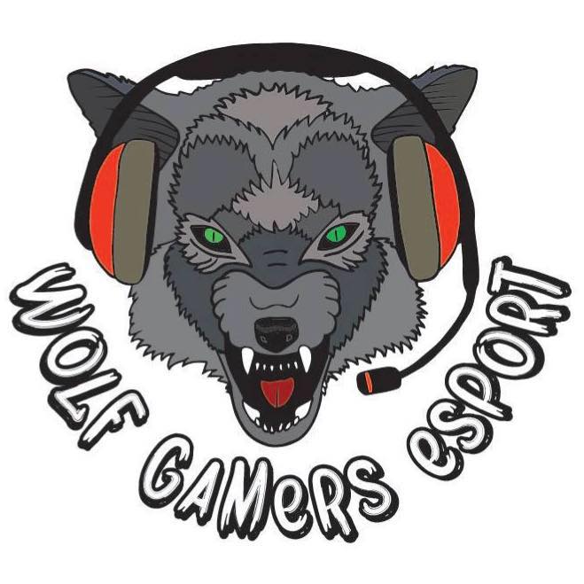 Read more about the article Wolf Gamers Esport